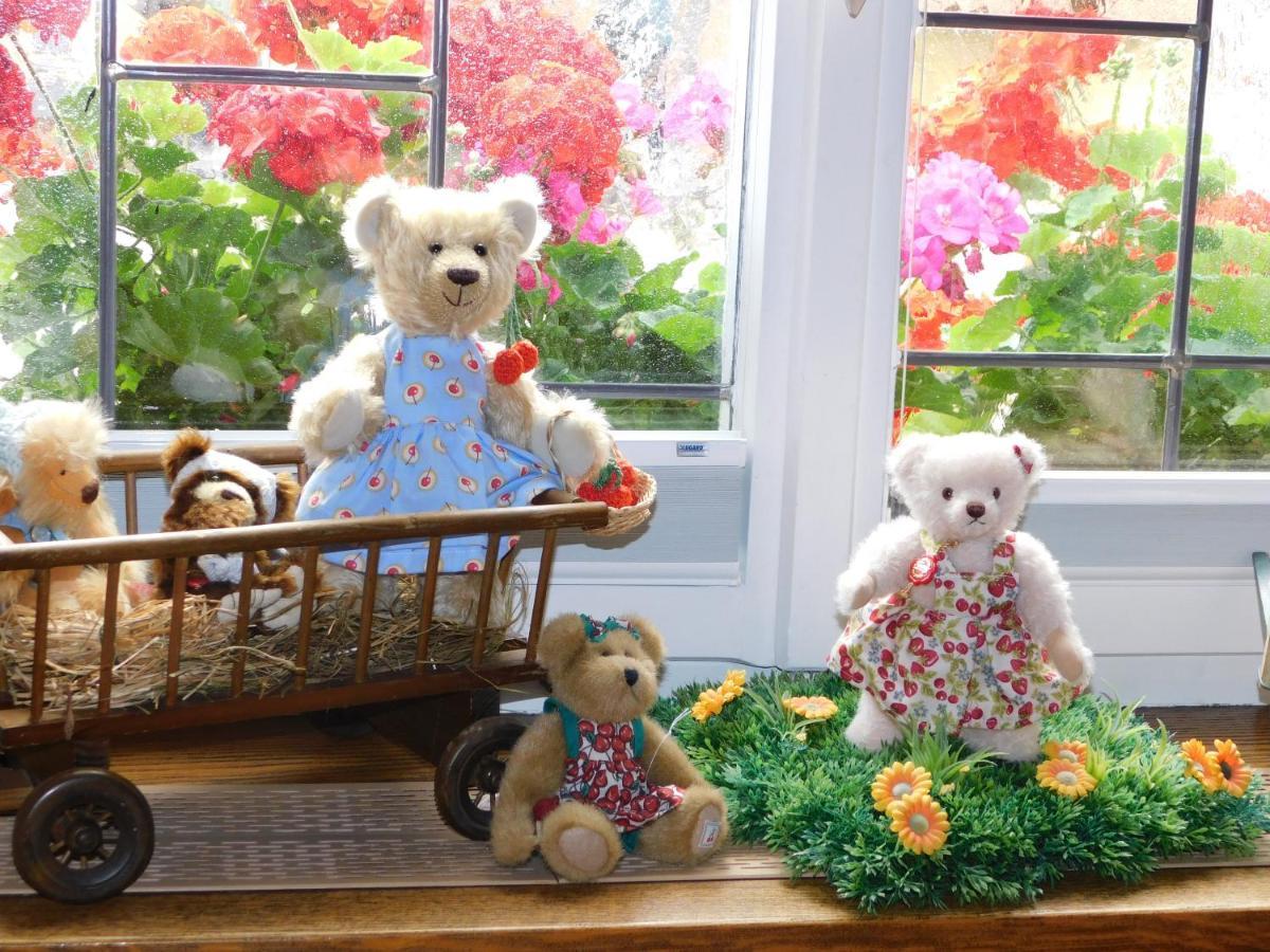 Teddybaerenhotel Hotel 3*