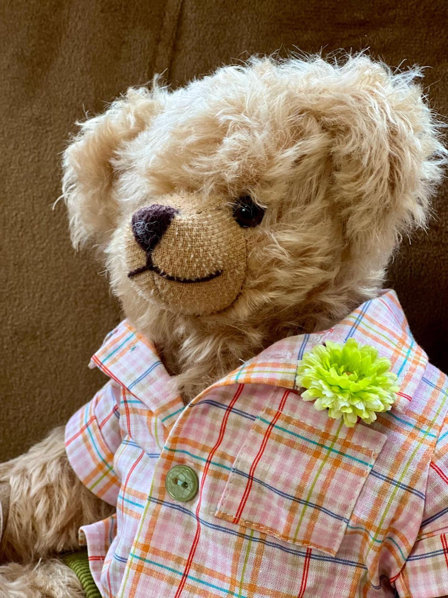 Teddybaerenhotel