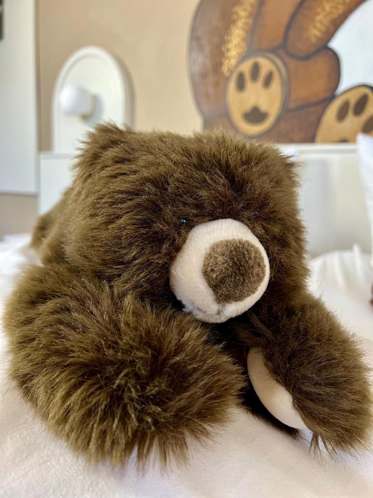 Teddybaerenhotel 3*