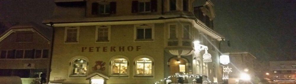 Teddybaerenhotel 3*